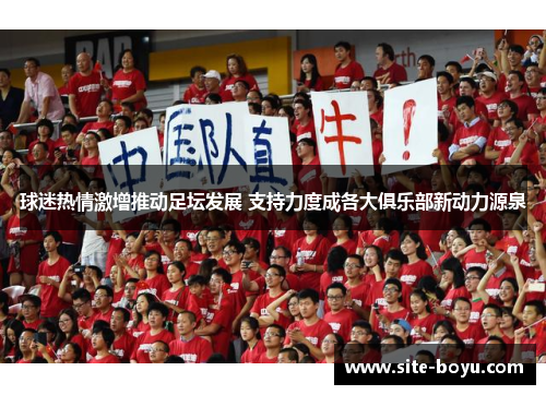 球迷热情激增推动足坛发展 支持力度成各大俱乐部新动力源泉