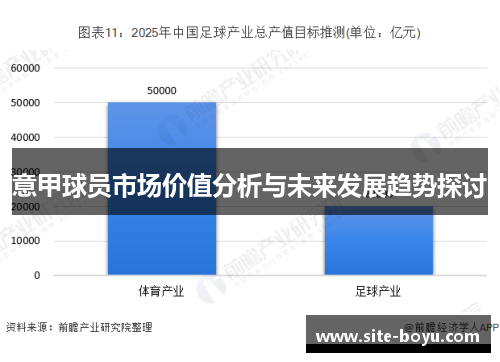 意甲球员市场价值分析与未来发展趋势探讨