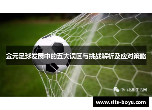 金元足球发展中的五大误区与挑战解析及应对策略