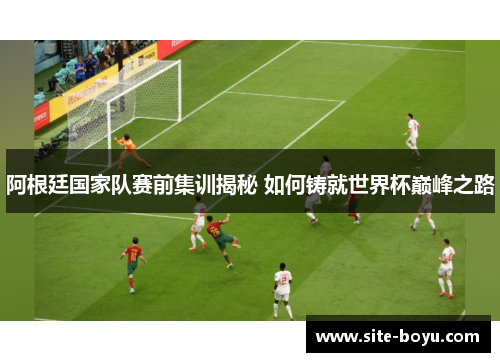 阿根廷国家队赛前集训揭秘 如何铸就世界杯巅峰之路