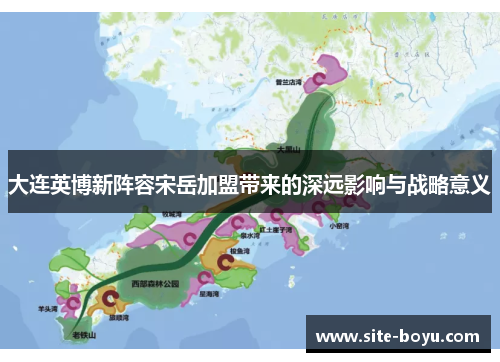 大连英博新阵容宋岳加盟带来的深远影响与战略意义
