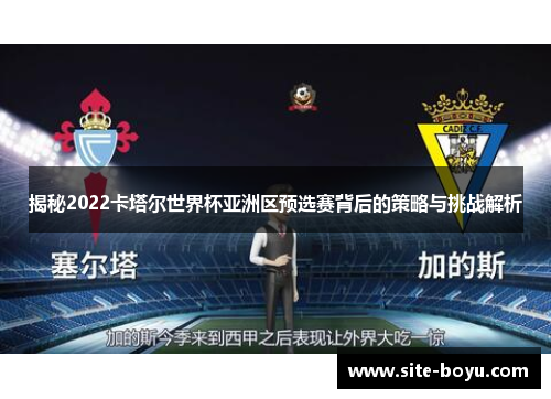 揭秘2022卡塔尔世界杯亚洲区预选赛背后的策略与挑战解析
