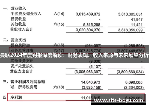曼联2024年度财报深度解读：财务表现、收入来源与未来展望分析