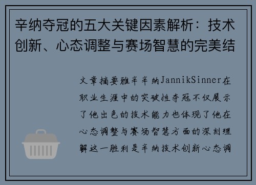 辛纳夺冠的五大关键因素解析：技术创新、心态调整与赛场智慧的完美结合