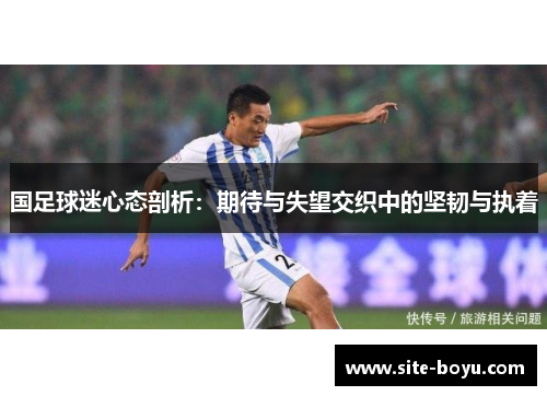 国足球迷心态剖析：期待与失望交织中的坚韧与执着
