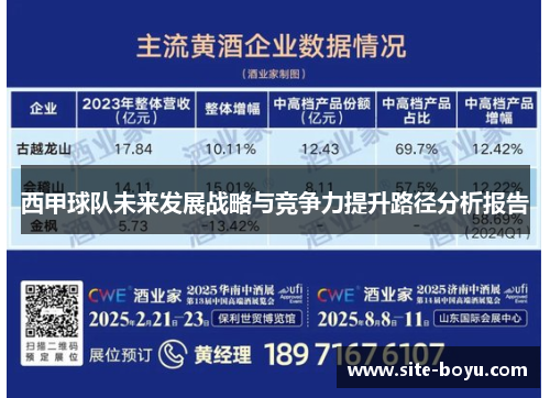 西甲球队未来发展战略与竞争力提升路径分析报告 西甲球队未来发展战略与竞争力提升路径分析报告