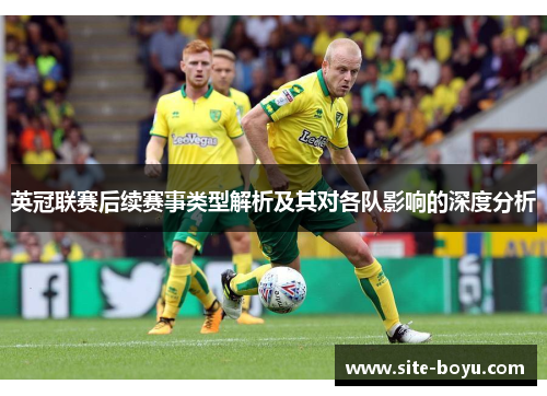 英冠联赛后续赛事类型解析及其对各队影响的深度分析 英冠联赛后续赛事类型解析及其对各队影响的深度分析